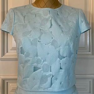 Ted Baker baby blue crop lace top